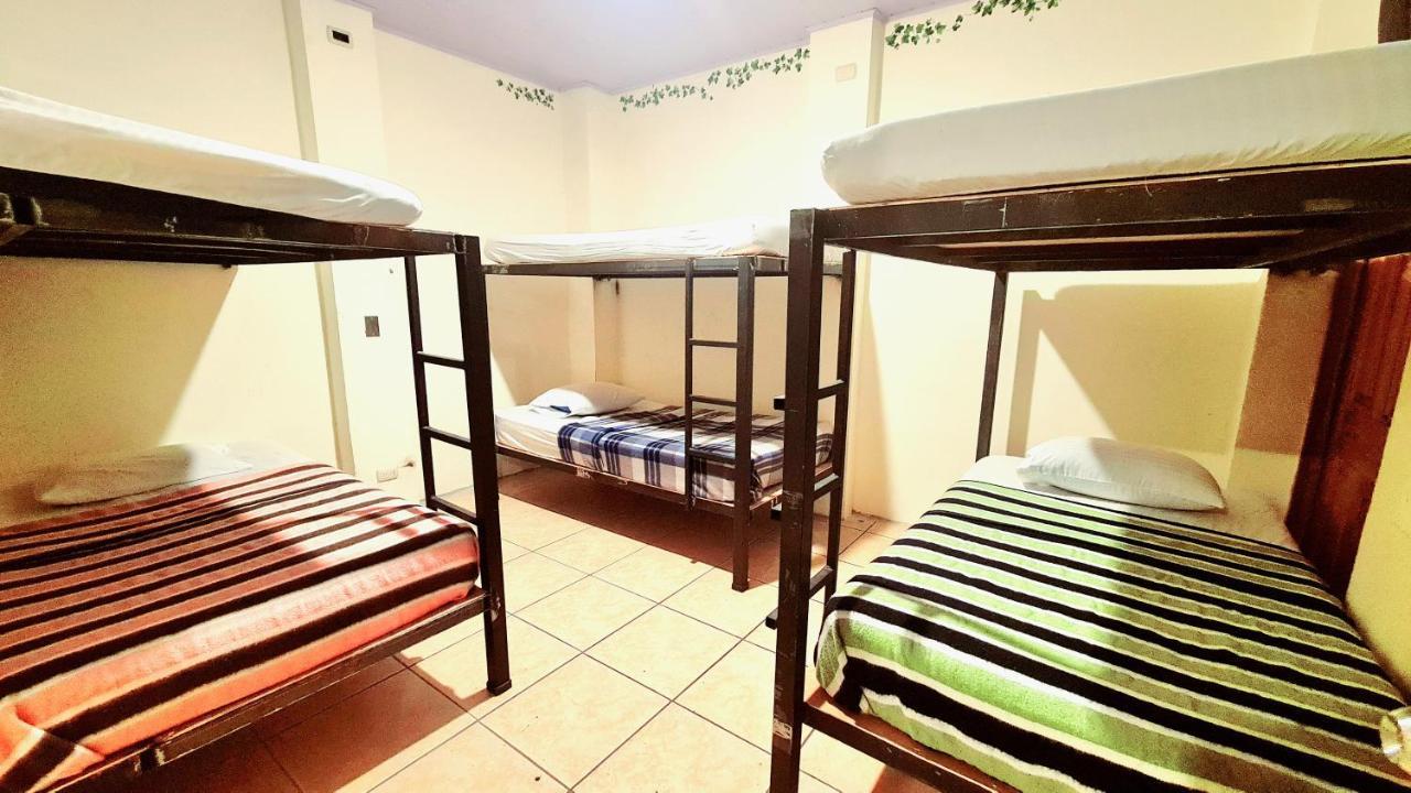 Eco Hotel Puerto Urbano 436 聖荷西 外观 照片