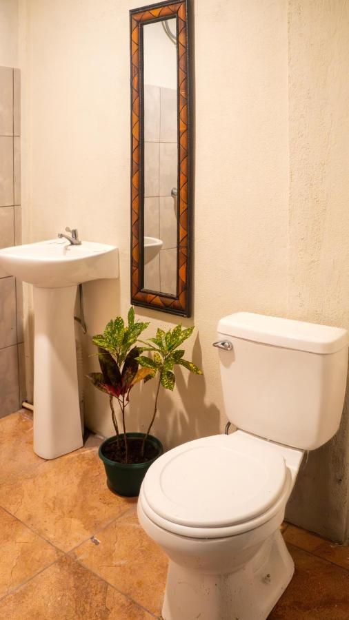 Eco Hotel Puerto Urbano 436 聖荷西 外观 照片